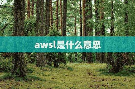 awsl是什么意思(awsl是什么意思中文)